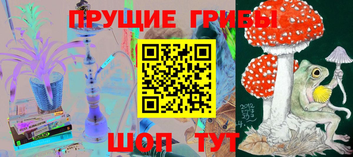 Псилоцибиновые грибы MAGIC MUSHROOMS  Вход с VPN  Великие Луки 