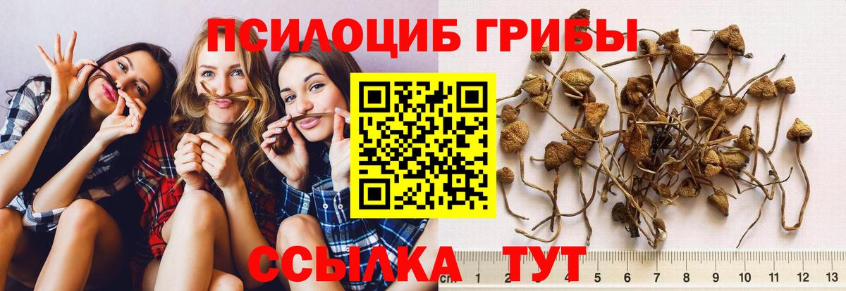 Псилоцибиновые грибы мухоморы Великие Луки