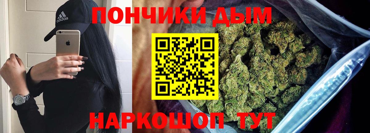 Бошки Шишки план Великие Луки